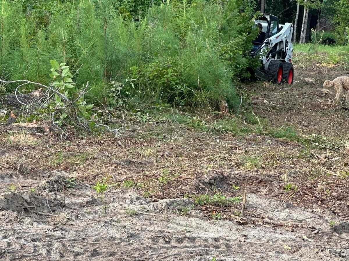 El Costeño Tree Service LLC